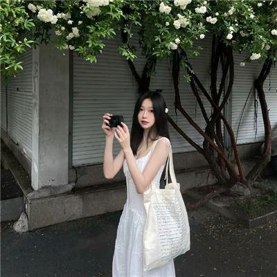 力王之真正敌人